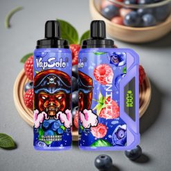 VapSolo VIKING 12000 Puffs Disposable Vape Blåbär Hallon 22ml 20/50 mg/ml Type-C