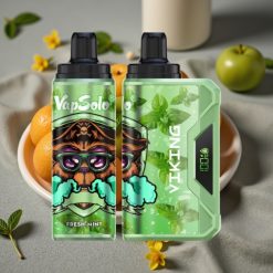 VapSolo VIKING 12000 Puffs Disposable Vape Färsk Mynta 22ml 20/50 mg/ml Typ-C