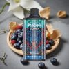 Vapsolo Super 15000 Puffs Blåbärsfläkt – 40ml, 850mAh, Type-C